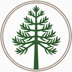 Estacionamiento Araucaria